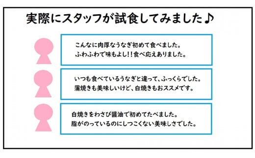 ＜2026年5月配送＞うなぎ白焼き 800g (200g×4尾) 2026年5月配送