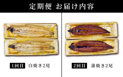 ＜2026年5月配送開始／定期便2回＞ うなぎ 蒲焼き 白焼き 食べ比べセット 計800g (各200g×2尾×2回) 2026年5月配送開始