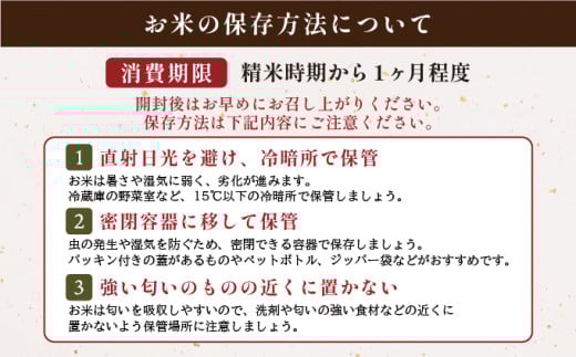 【先行予約】新米 令和7年産 夢しずく 5kg 29kg-0007