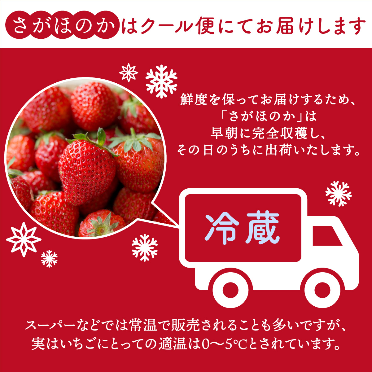 さがほのか 880g (220g×4p)