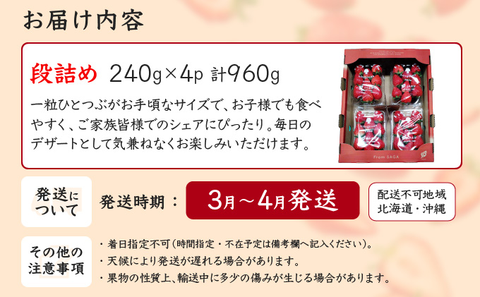 佐賀県産 いちごさん960g(240g×4P)3月～4月発送