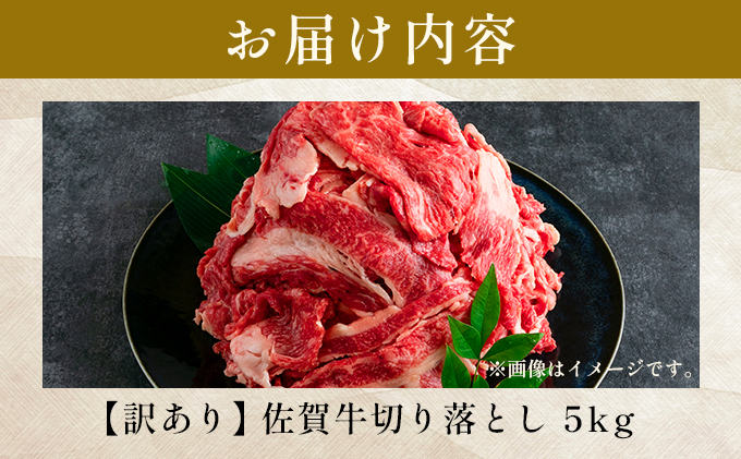 艶さし！訳あり！【A4～A5】 佐賀牛切り落とし 5kg (500g×10p)