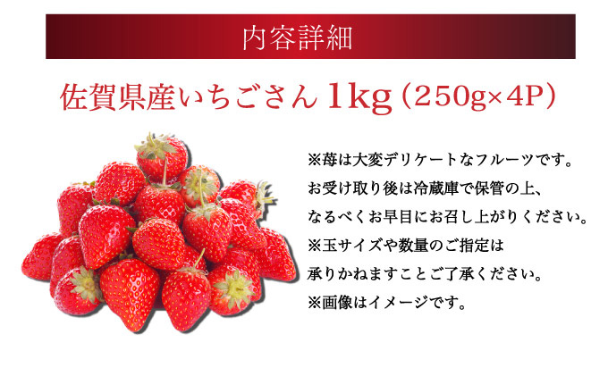 佐賀産 いちごさん4パック【41nf-006】
