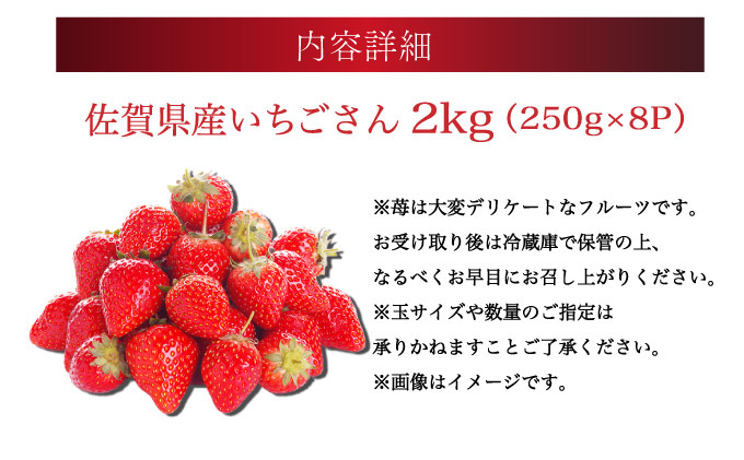 佐賀産 いちごさん 8パック
