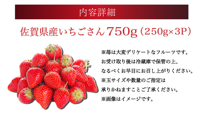 佐賀産 いちごさん 3パック