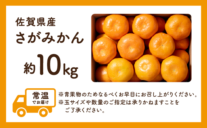 ＜先行予約＞ ＜10月以降順次発送＞柑橘の名産地 佐賀産さがみかん約10kg箱