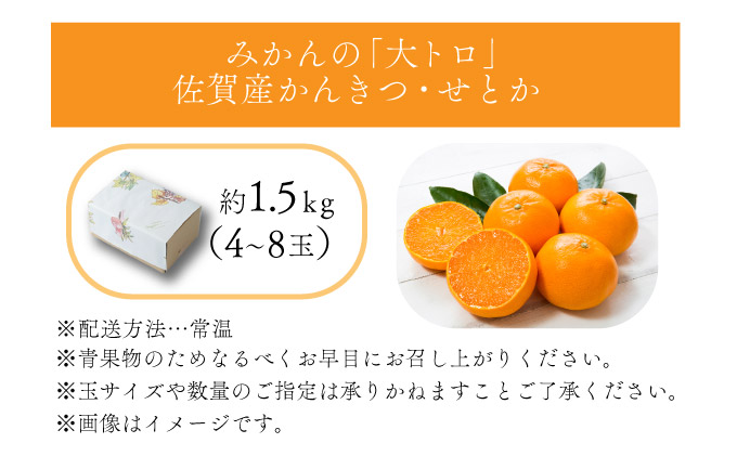 【先行予約】みかんの「大トロ」佐賀産かんきつ・せとか 約1.5kg(4-8玉) / ふるさと納税 佐賀 フルーツ濃厚 甘い 酸味 大町 贈答 ギフト 贈り物【41nf-014】