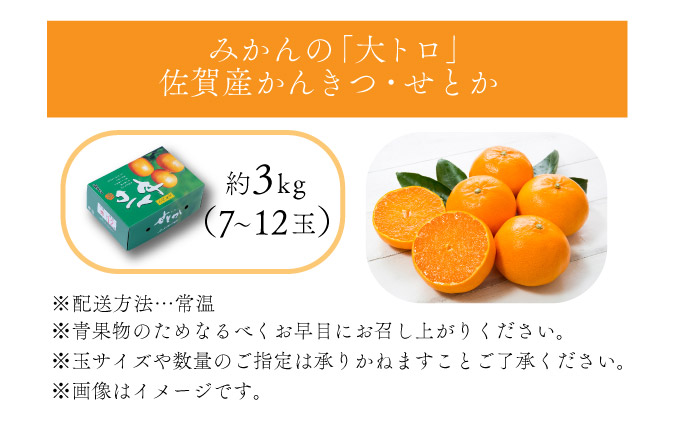 【先行予約】みかんの「大トロ」佐賀産かんきつ・せとか 約3kg(7-12玉) / ふるさと納税 佐賀 フルーツ濃厚 甘い 酸味 大町 贈答 ギフト 贈り物【41nf-015】