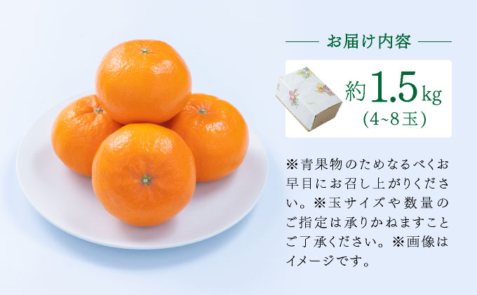 【先行予約】佐賀産柑橘「はまさき」 約1.5kg(4-8玉) / ふるさと納税 佐賀 フルーツ濃厚 甘い 酸味 大町 贈答 ギフト 贈り物【41nf-016】