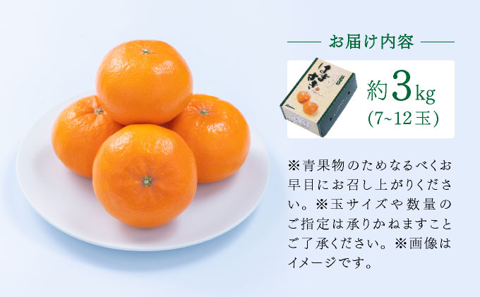 【先行予約】佐賀産柑橘「はまさき」 約3kg(7-12玉) / ふるさと納税 佐賀 フルーツ濃厚 甘い 酸味 大町 贈答 ギフト 贈り物【41nf-017】