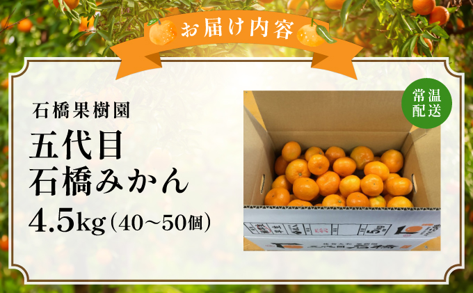 五代目みかん4.5kg／ふるさと納税 佐賀 みかん オレンジ フルーツ濃厚 甘い 酸味 大町 贈答 ギフト 贈り物 42ik-001