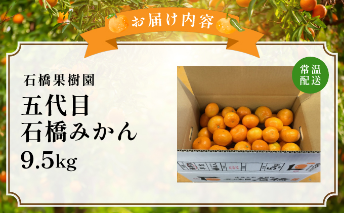 五代目みかん9.5kg／ふるさと納税 佐賀 みかん オレンジ フルーツ濃厚 甘い 酸味 大町 贈答 ギフト 贈り物 42ik-002