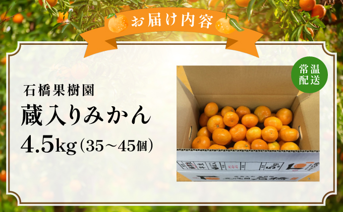 蔵入りみかん4.5kg／ふるさと納税 佐賀 みかん オレンジ フルーツ濃厚 甘い 酸味 大町 贈答 ギフト 贈り物 42ik-003