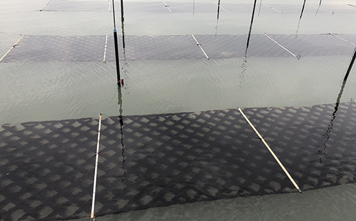 【佐賀海苔】塩・焼海苔選べる3本セット(各8切80枚入り)　09hs-0003