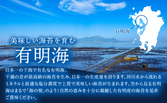 ＜先行予約＞ 令和6年初摘み 佐賀海苔 (秋芽)　09hs-0001