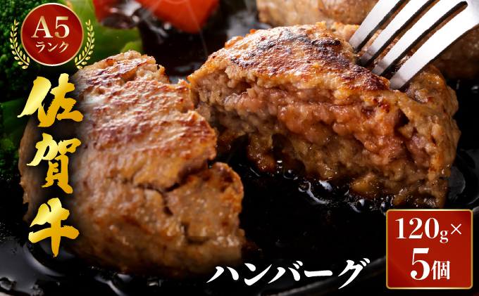 佐賀牛ハンバーグ　120g×5個【06ff-0033】