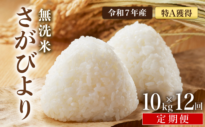 先行予約 [令和7年産] ＜定期便12回＞ 特A評価 さがびより 無洗米 10kg×12回 15ob-0017-202506