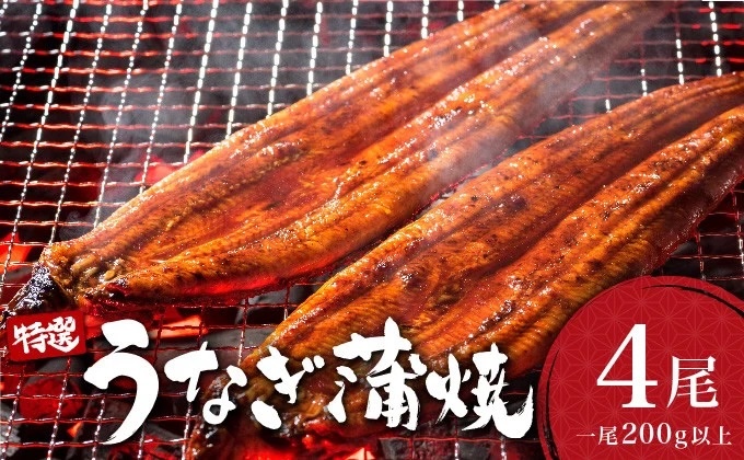 ＜2026年5月配送＞うなぎ蒲焼き 800g (200g×4尾) 2026年5月配送