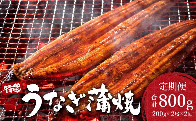 ＜2026年2月配送開始／定期便2回＞ うなぎ蒲焼き 計800g (200g×2尾×2回) 2026年2月配送開始