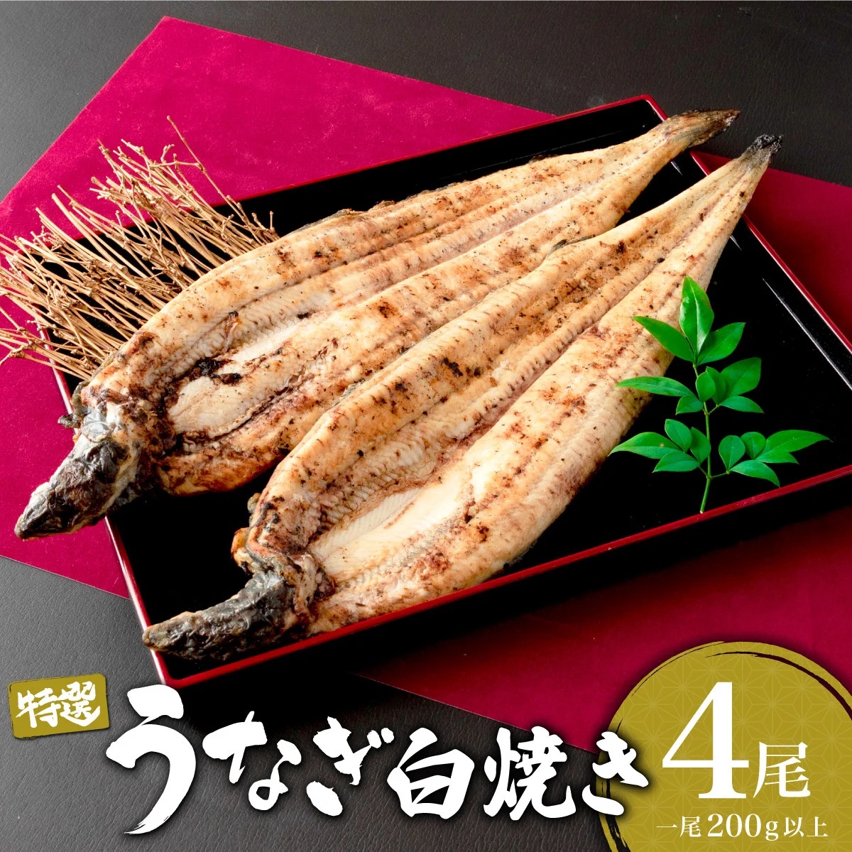 ＜2026年6月配送＞うなぎ白焼き 800g (200g×4尾) 2026年6月配送