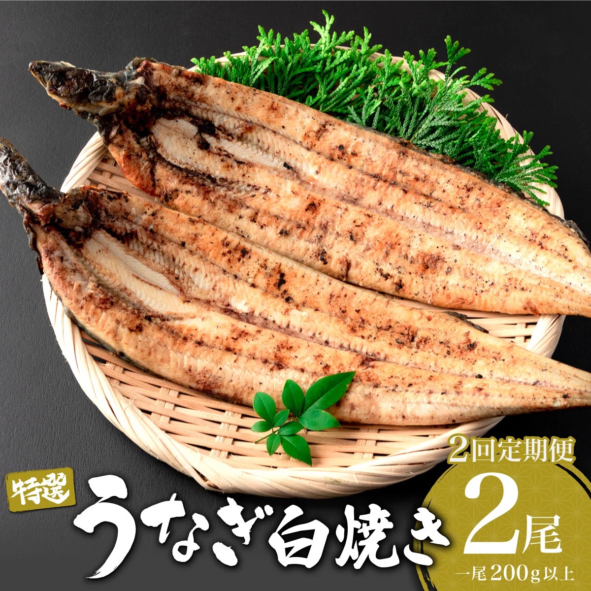 ＜2026年3月配送開始／定期便2回＞ うなぎ白焼き 計800g (200g×2尾×2回) 2026年3月配送開始