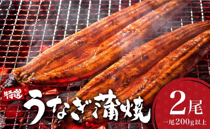 ＜2026年7月配送＞うなぎ蒲焼き 400g (200g×2尾) 冷蔵 2026年7月配送