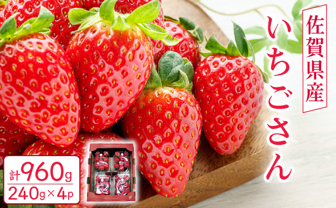 佐賀県産 いちごさん960g(240g×4P)3月～4月発送