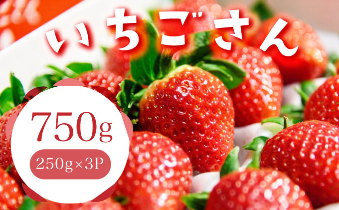 佐賀産 いちごさん 3パック