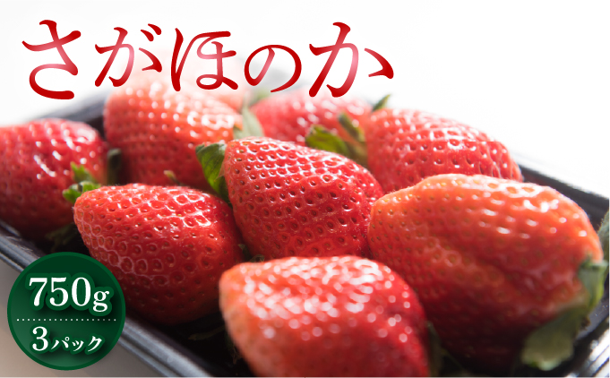 佐賀産 さがほのか3パック【41nf-009】