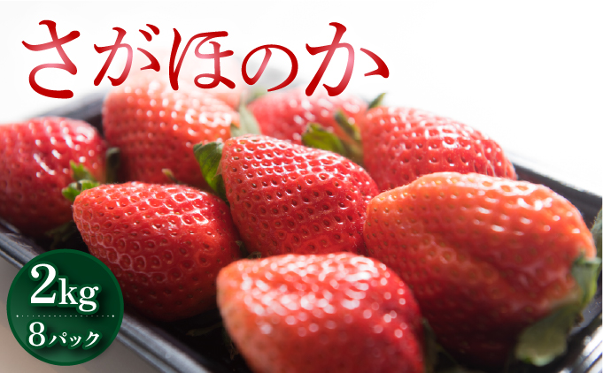 佐賀産 さがほのか8パック【41nf-011】