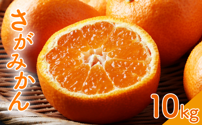 ＜先行予約＞ ＜10月以降順次発送＞柑橘の名産地 佐賀産さがみかん約10kg箱