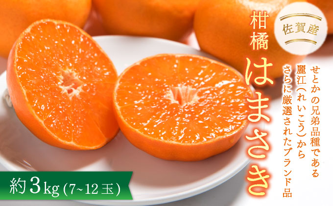 【先行予約】佐賀産柑橘「はまさき」 約3kg(7-12玉) / ふるさと納税 佐賀 フルーツ濃厚 甘い 酸味 大町 贈答 ギフト 贈り物【41nf-017】