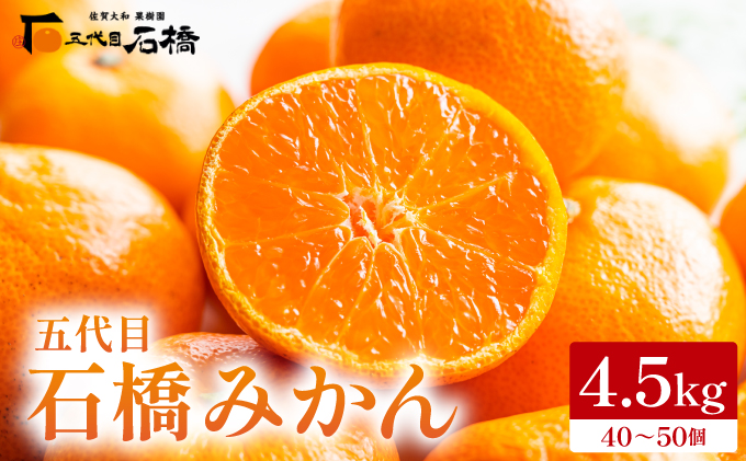 五代目みかん4.5kg／ふるさと納税 佐賀 みかん オレンジ フルーツ濃厚 甘い 酸味 大町 贈答 ギフト 贈り物 42ik-001