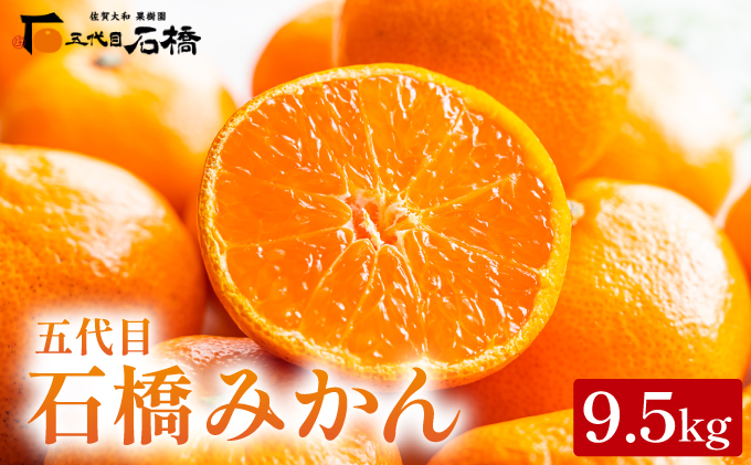 五代目みかん9.5kg／ふるさと納税 佐賀 みかん オレンジ フルーツ濃厚 甘い 酸味 大町 贈答 ギフト 贈り物 42ik-002