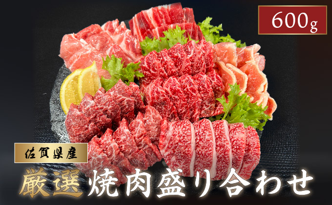 佐賀県産厳選 焼肉5種盛り合わせ 600g (2～3人前)　06ff-0018 5種盛り600g