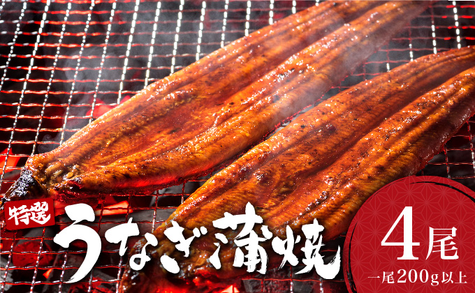 うなぎ蒲焼き 800g (200g×4尾)