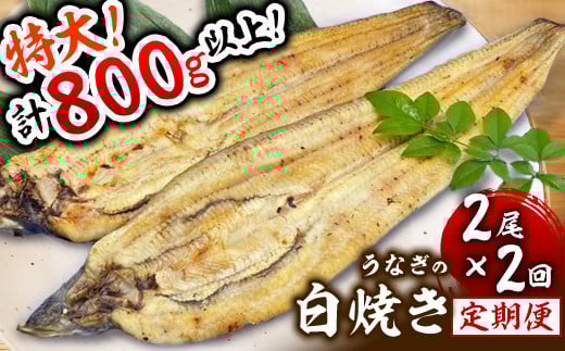 ＜定期便2回＞ うなぎ白焼き 計800g (200g×2尾×2回)