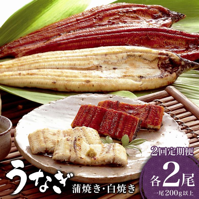 ＜定期便2回＞ うなぎ 蒲焼き 白焼き 食べ比べセット 計800g (各200g×2尾×2回)
