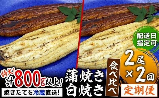 ＜定期便2回＞ うなぎ 蒲焼き 白焼き 食べ比べセット 計800g (200g×各1尾×2回)