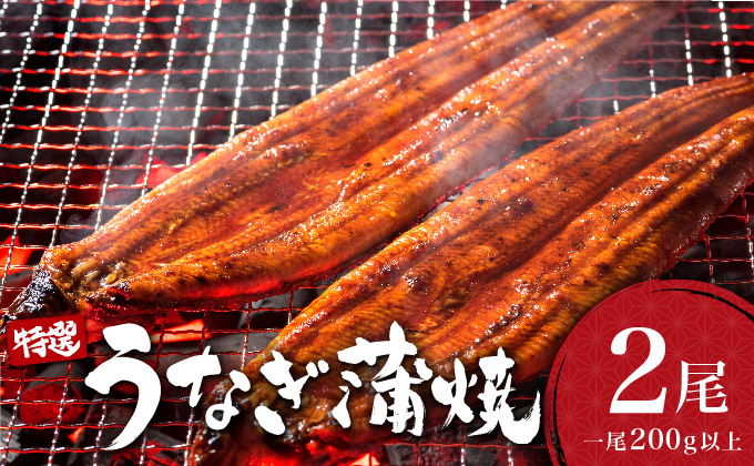 うなぎ蒲焼き 400g (200g×2尾)