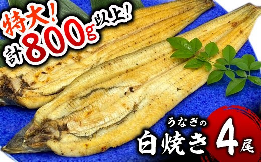 うなぎ白焼き 800g (200g×4尾) 土用の丑の日7月24日着