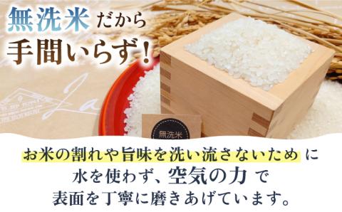 【全12回定期便】さがびより・夢しずく 無洗米 5kg  特A米 特A評価 [HBL034]