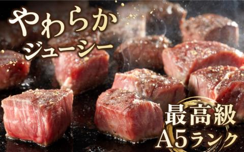 佐賀牛 A5 ヒレ サイコロステーキ 500g(250g×2パック)【山下牛舎】 [HAD036]