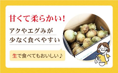 【先行予約】江北町産 たまねぎ 約10kg【百武青果】 [HAE017] 玉ねぎ