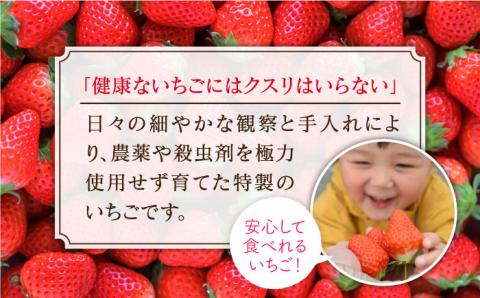 【2〜4月発送】朝摘みいちご（いちごさん）500g（250g×2パック）【むらおか農園】 [HAF021]