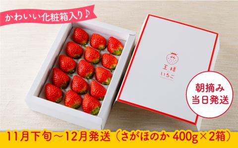 【11月下旬〜12月発送】王様のいちご さがほのか 800g（400g×2箱）【むらおか農園】[HAF002]