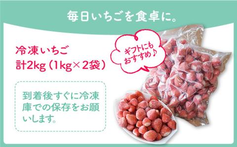 王様のいちご 摘みたてこおりいちご 2kg（冷凍いちご）いちごさん さがほのか【むらおか農園】 [HAF003]