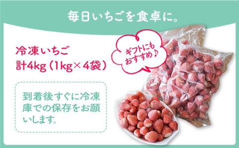王様のいちご 摘みたてこおりいちご 4kg（冷凍いちご）いちごさん さがほのか【むらおか農園】 [HAF004]