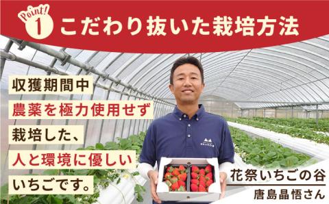 【12～4月発送】農園直送「いちごさん・さがほのか」500g（約250g×2パック）【花祭果実】 [HBN003]