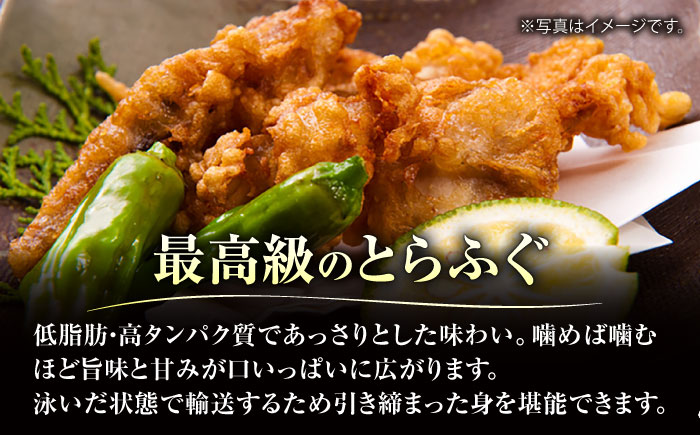 【年内発送】【泳ぐ・とらふぐ】唐揚げ（味付なし）1匹分 [HAB004] 水産物